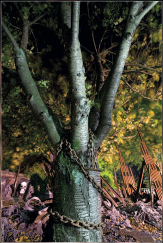 Nos Arbres Qui Sont Aux Cieux